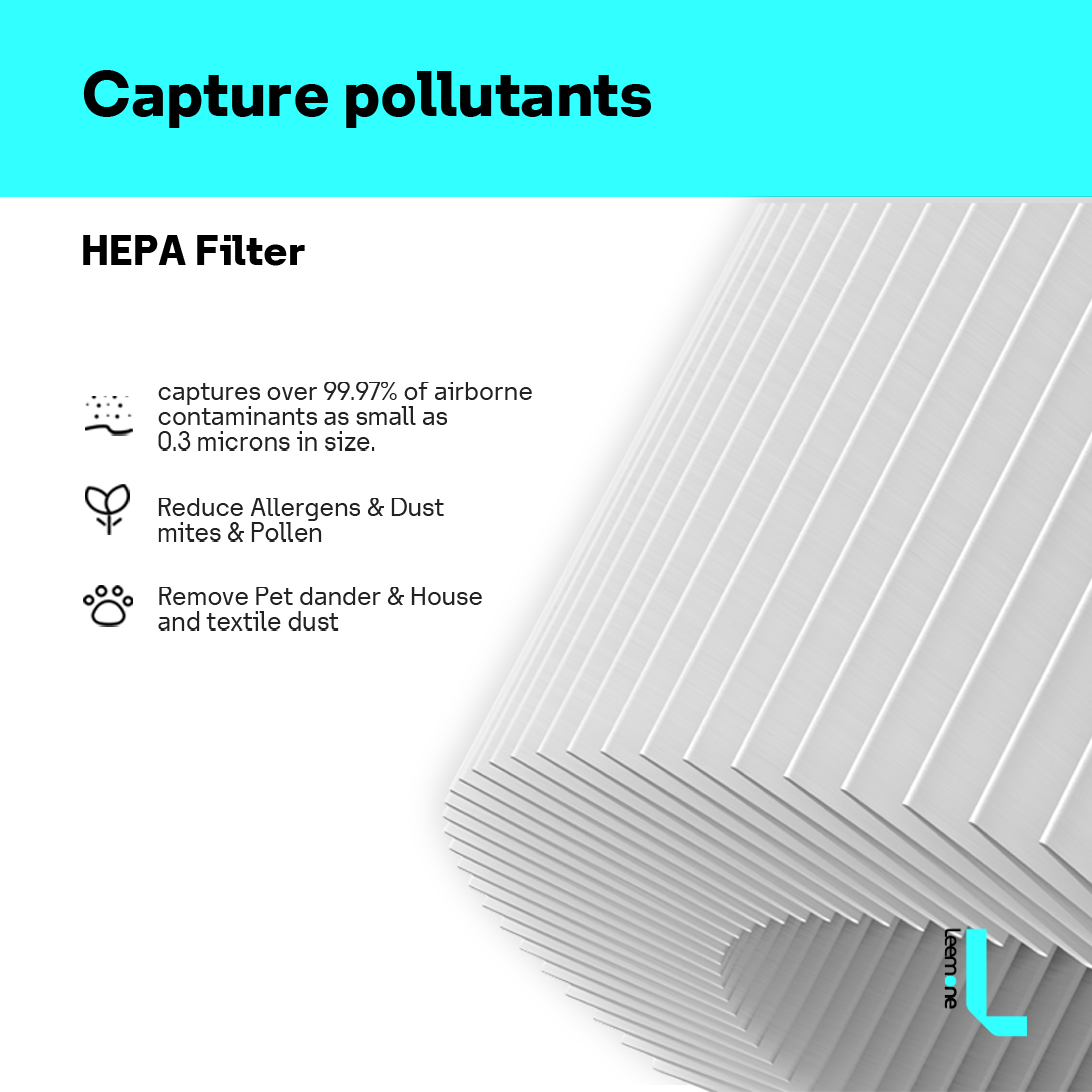 Leemone Ture HEPA Replacement Filter for Core 300 & 300S , 2 pcs